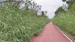 公路