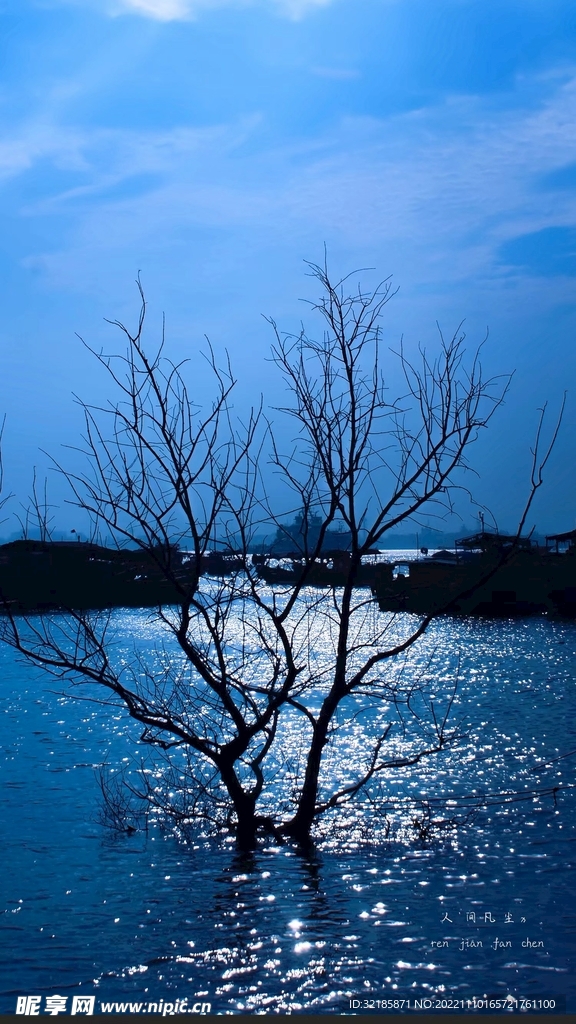 夜景海边图片 