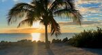 航拍海边夕阳
