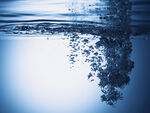水