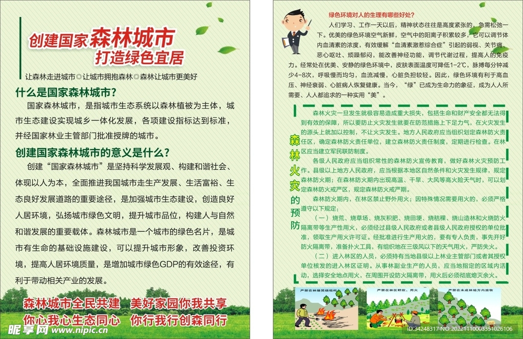 森林城市