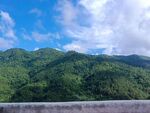 风景