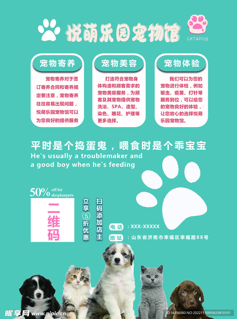 宠物