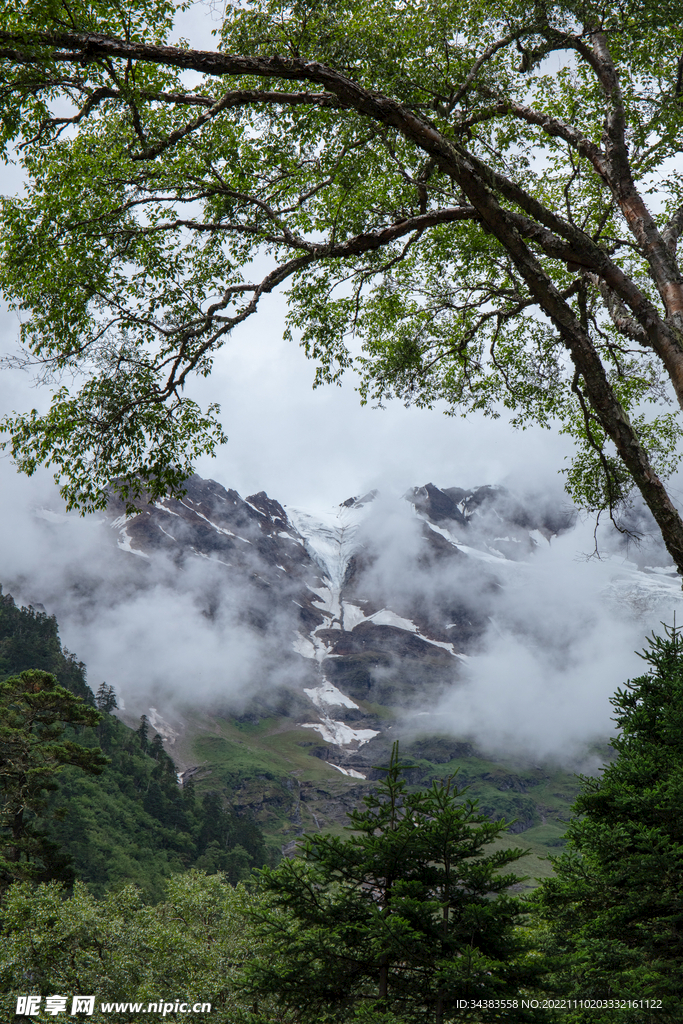 梅里雪山