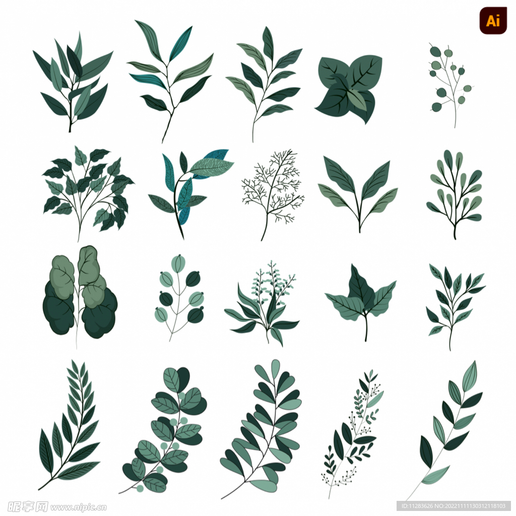 植物树叶素材