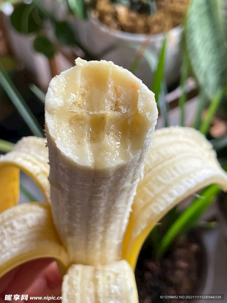 香蕉