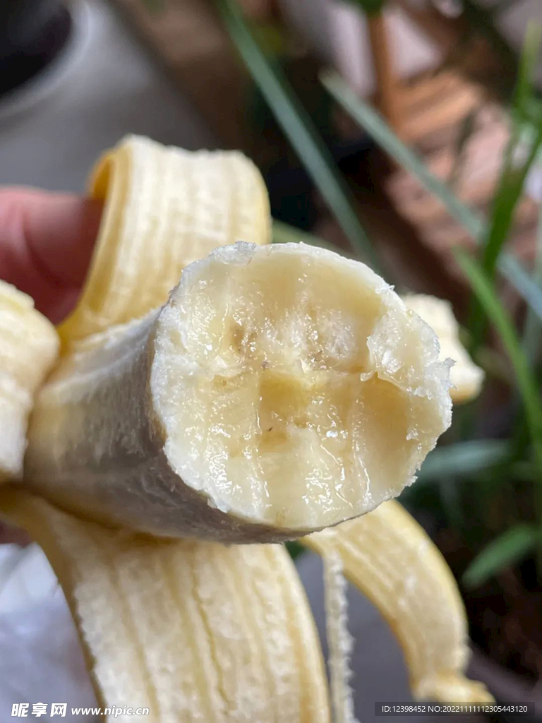 香蕉