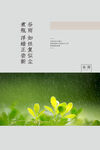 谷雨节气