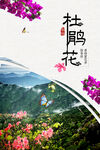 杜鹃花海报