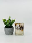绿色盆栽和夏日饮品