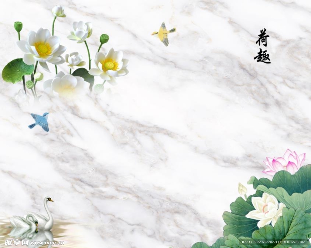 荷花