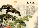 安徽迎客松