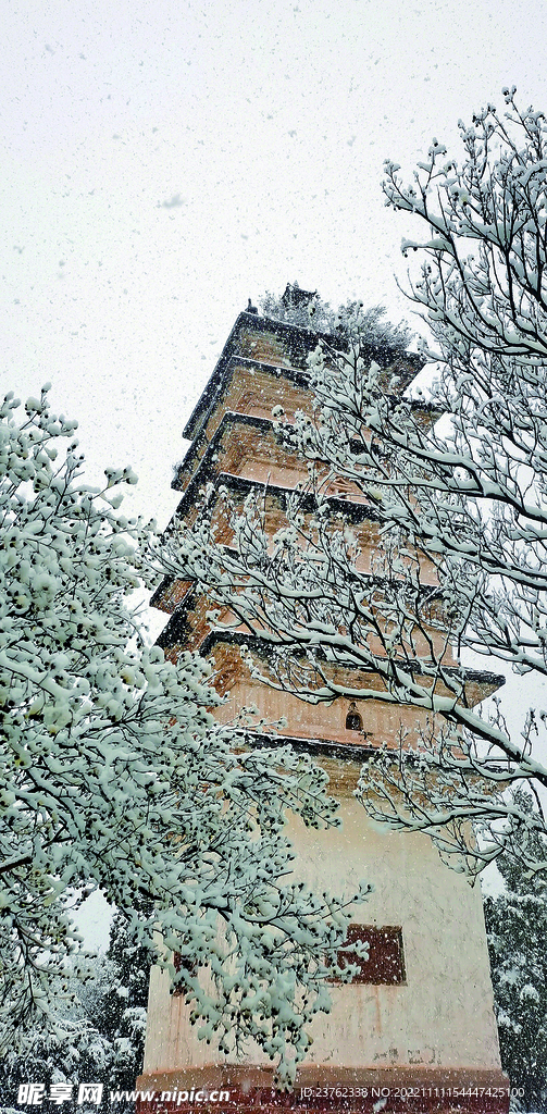 楚雄师范学院雁塔雪景