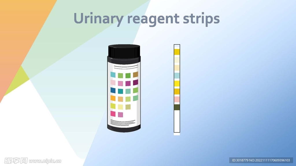 尿试纸条