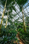 植物园