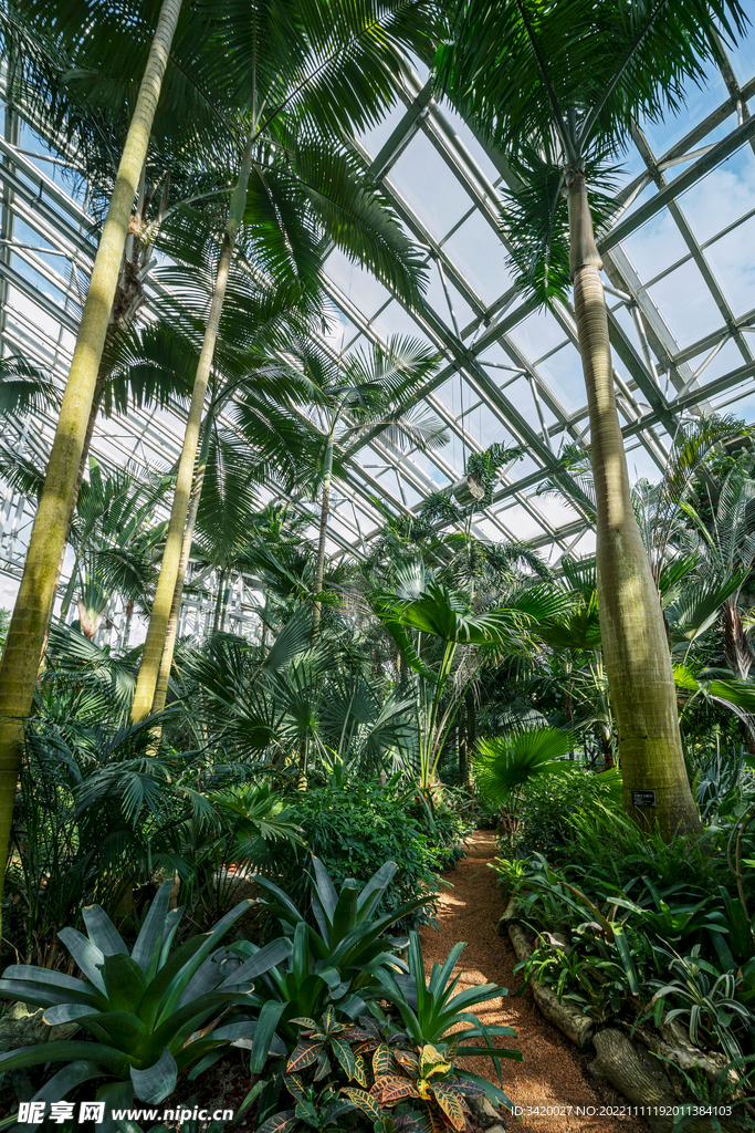 植物园