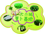 萝卜基地