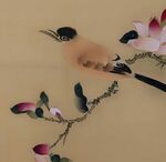 国画花鸟画