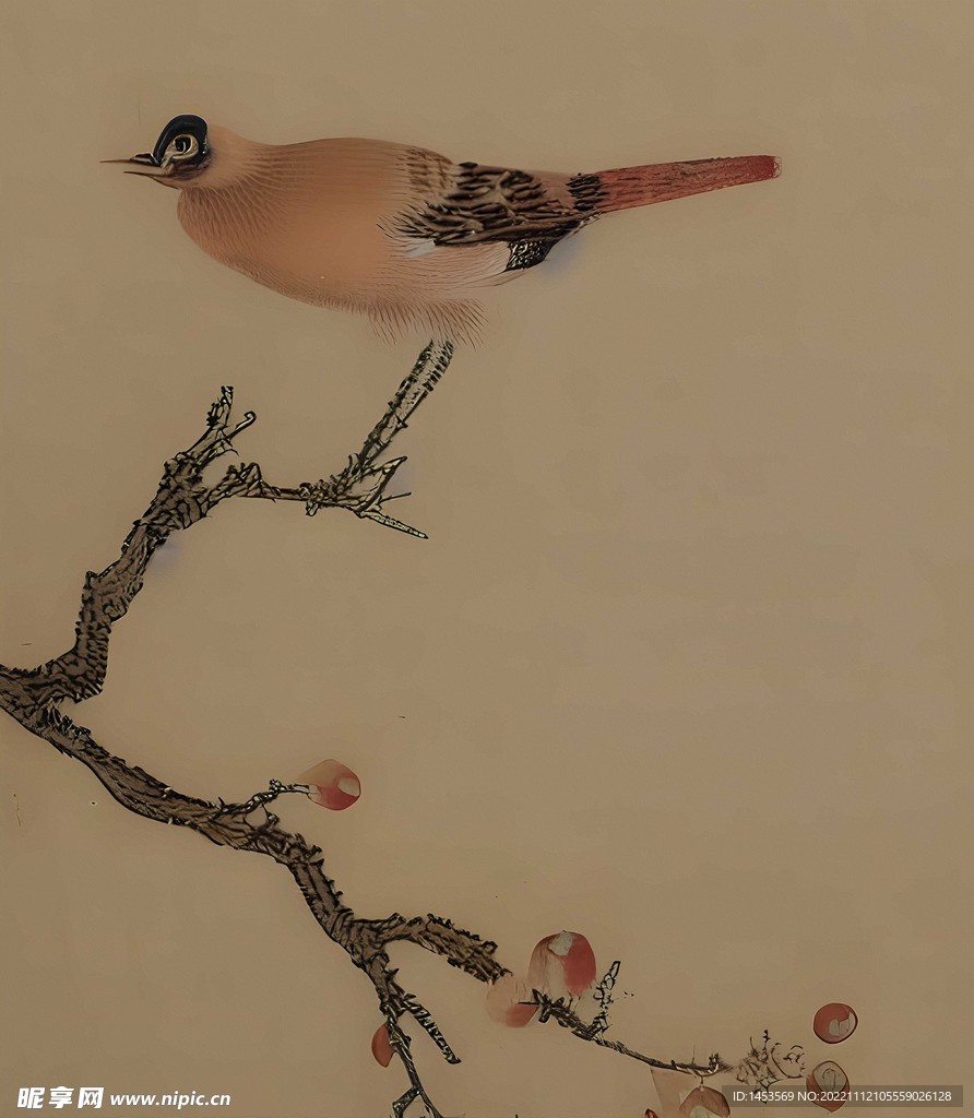 花鸟画古画