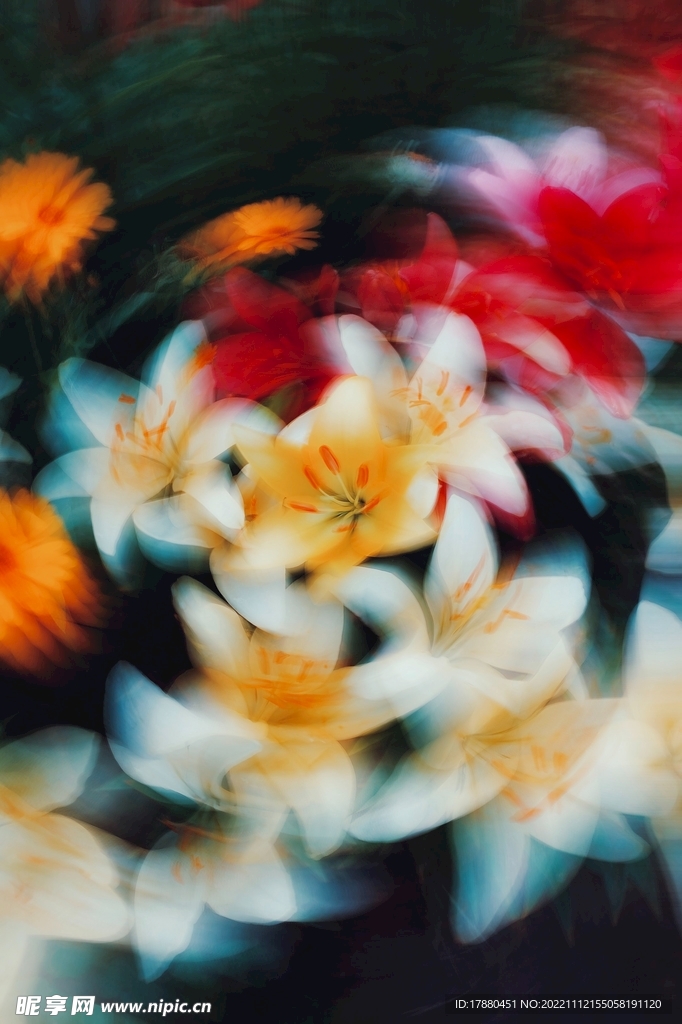 花卉
