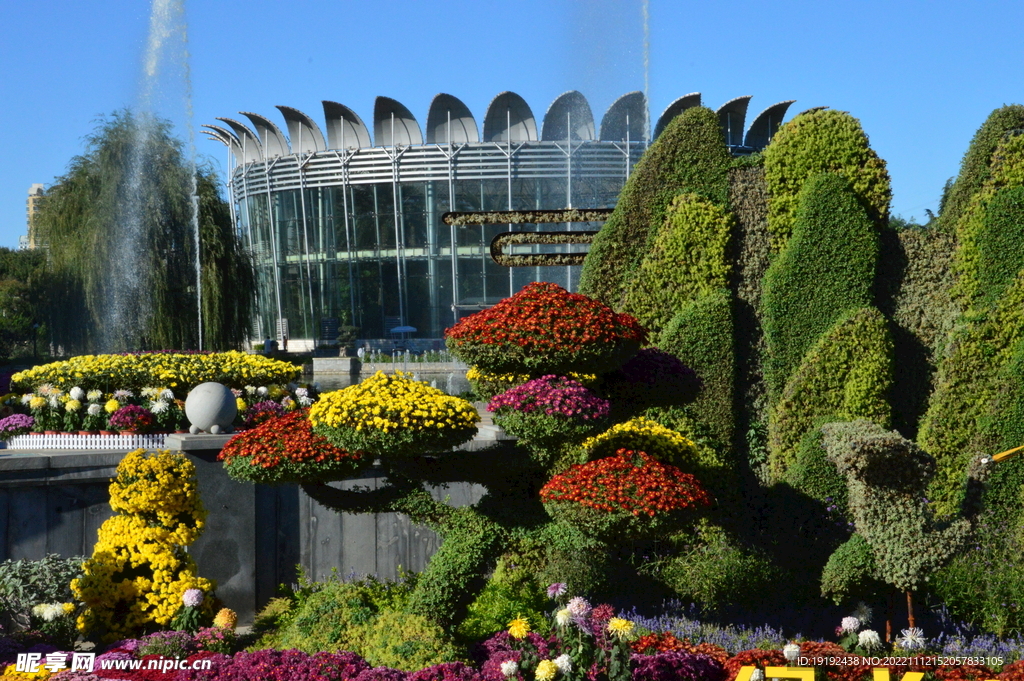 花坛风景 