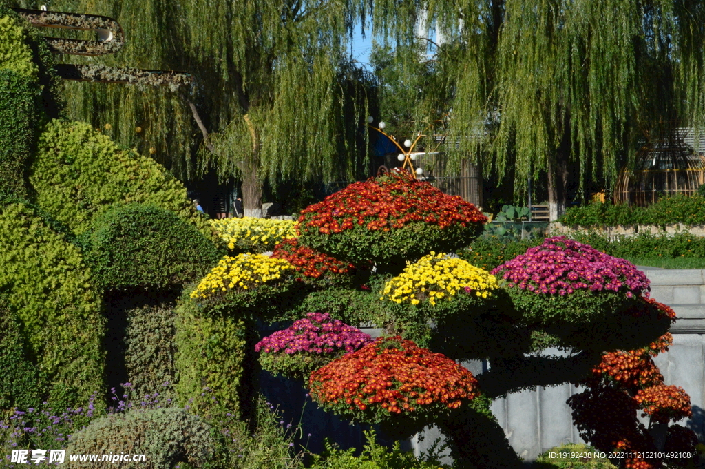 花坛风景