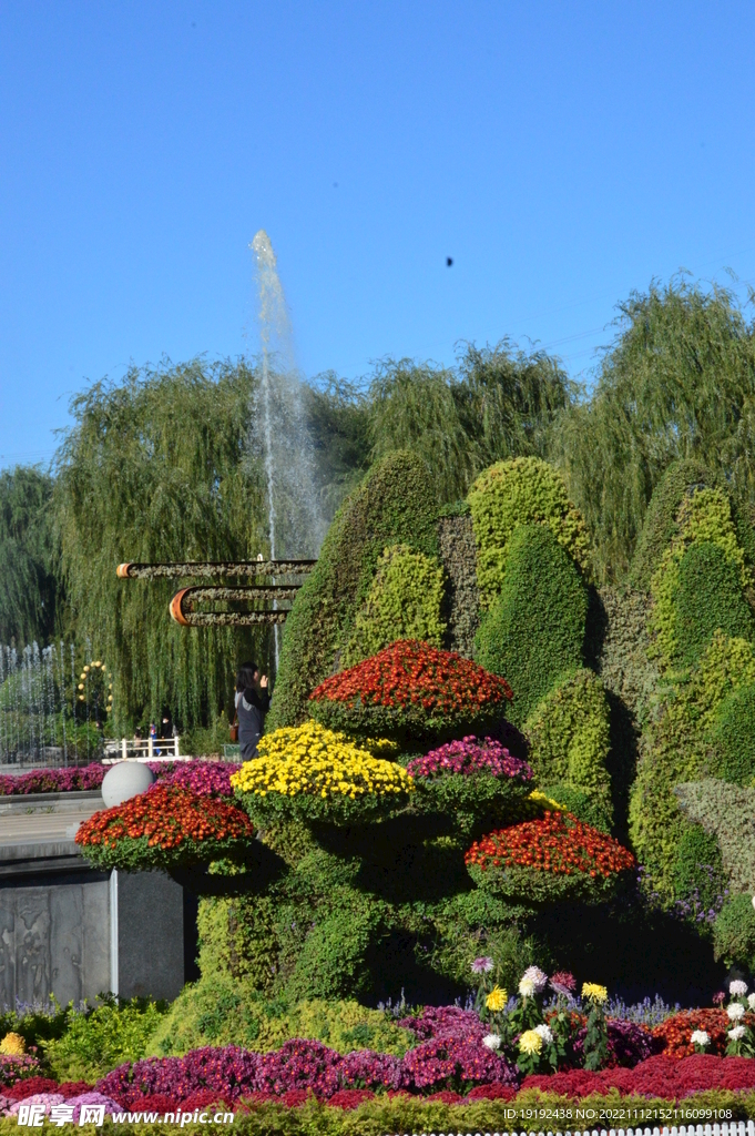 花坛风景 