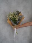 小雏菊花束