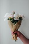 牡丹花