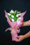 郁金香花束