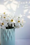 水仙花