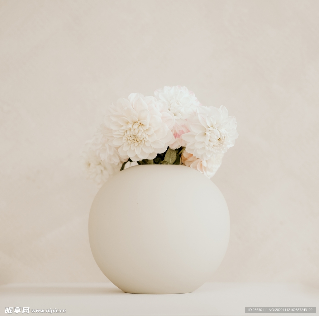 牡丹插花