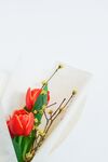 一束鲜花