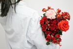玫瑰花