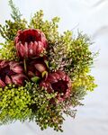帝王花 花束