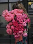 一束鲜花