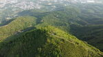 山