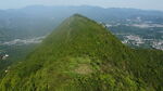 山