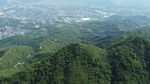 山