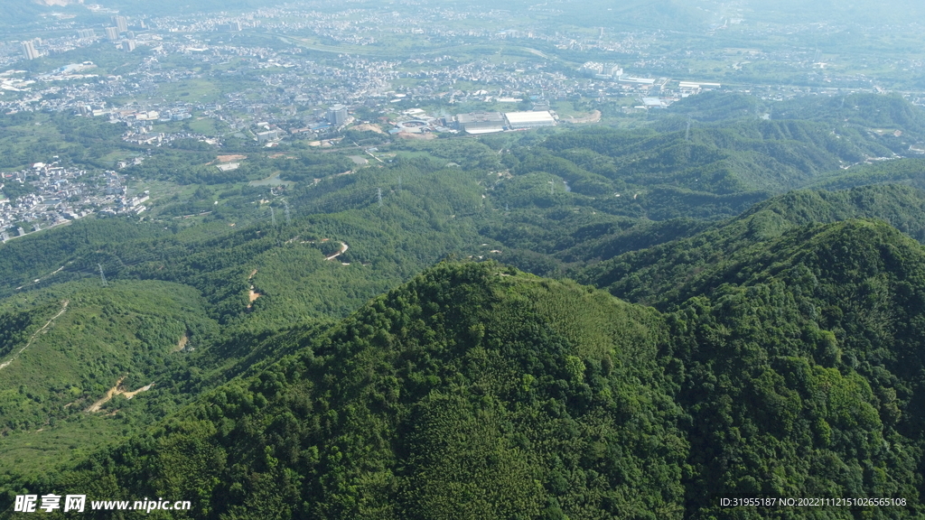山
