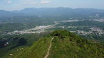 山