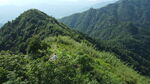 山