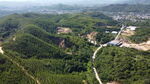 山