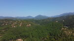 山