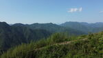 山