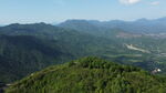 山