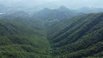 山