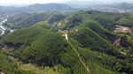 山