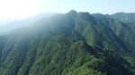 山