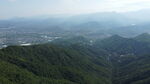 山